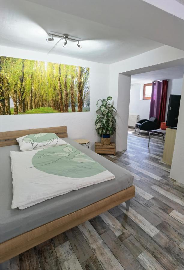 Ferienwohnung - Appartement "Painted Horse" Im Herzen Des Pfaelzer Waldes Reichenbach-Steegen Eksteriør billede
