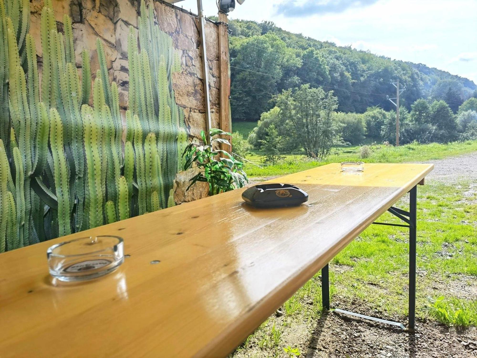 Ferienwohnung - Appartement "Painted Horse" Im Herzen Des Pfaelzer Waldes Reichenbach-Steegen Eksteriør billede