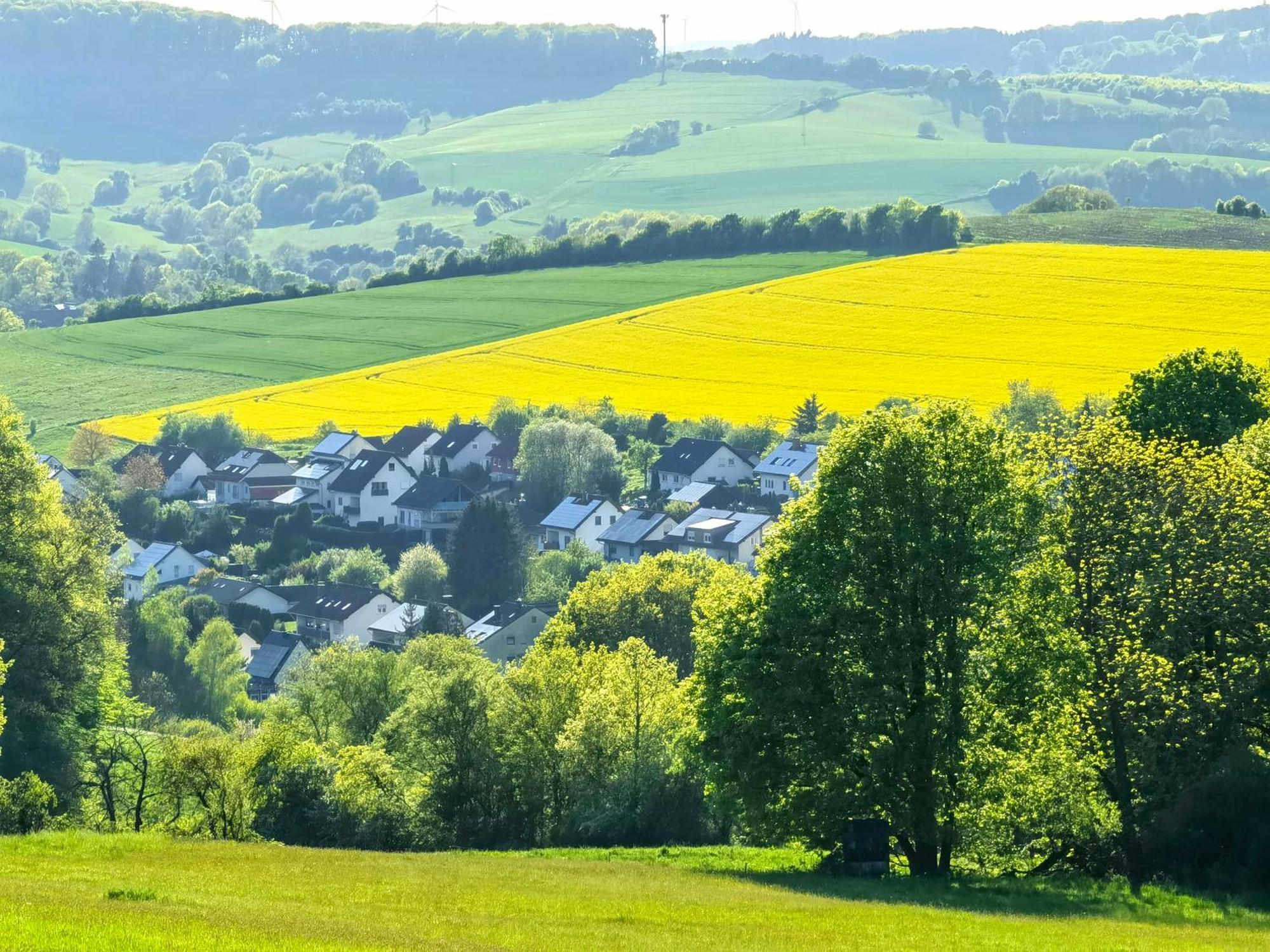 Ferienwohnung - Appartement "Painted Horse" Im Herzen Des Pfaelzer Waldes Reichenbach-Steegen Eksteriør billede